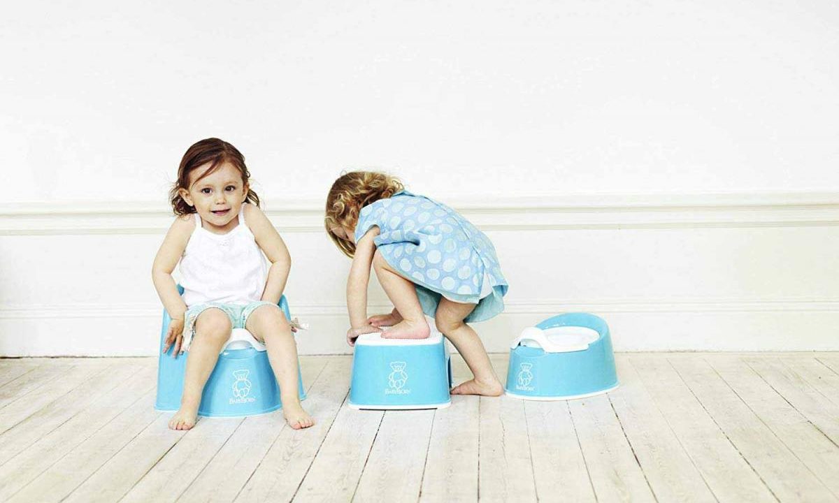 Best Potty Seats and Chairs for Toddlers