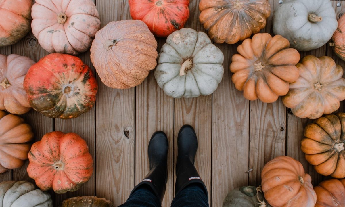 5 Fall Baby Shower Ideas to Celebrate Your Little Pumpkin